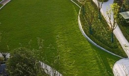 临平公园爆料最新消息今天,揭秘今日热点事件！”